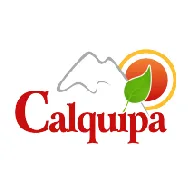 Logo de cliente 4 de Indicon Perú